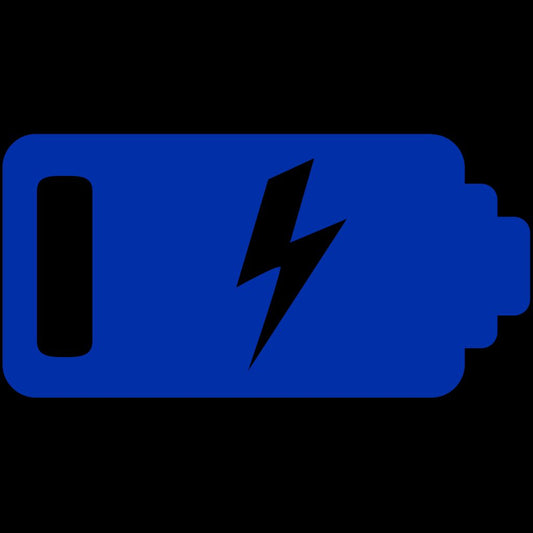 The Fast-Charging Revolution: Blue Bolt Chargers by Coils Electronics